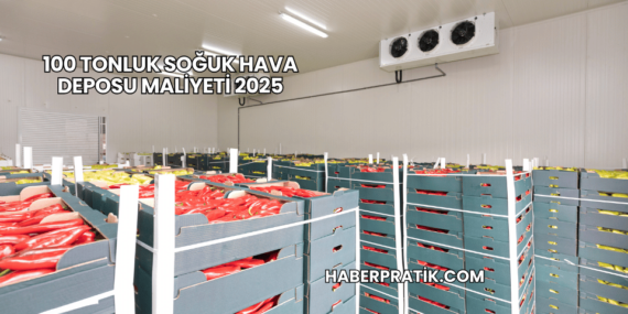 100 Tonluk Soğuk Hava Deposu Maliyeti 2025