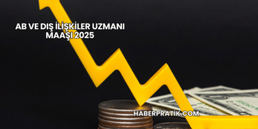 AB ve Dış İlişkiler Uzmanı Maaşı 2025
