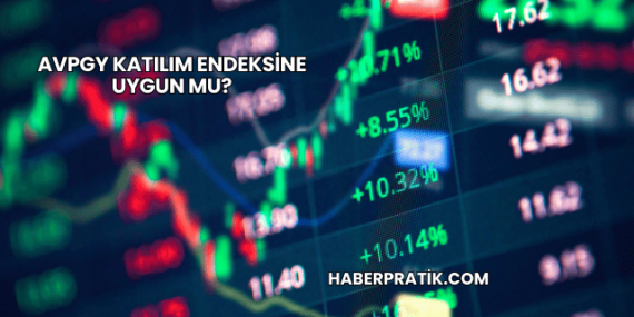 AVPGY Katılım Endeksine Uygun mu?