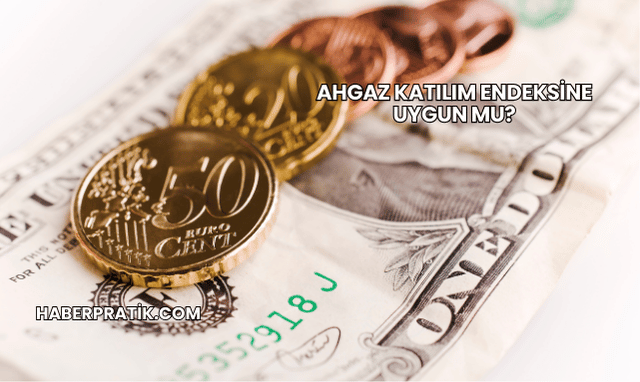 Ahgaz Katılım Endeksine Uygun mu?