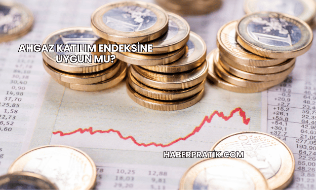 Ahgaz Katılım Endeksine Uygun mu?