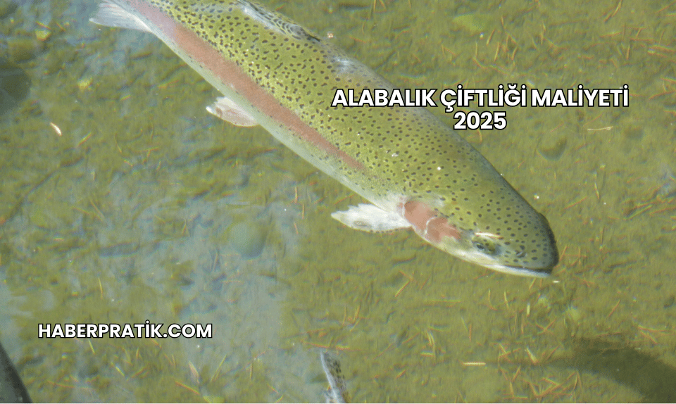 Alabalık Çiftliği Maliyeti 2025