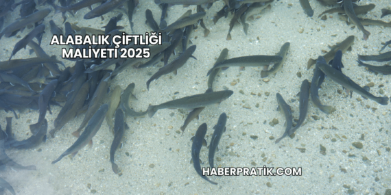 Alabalık Çiftliği Maliyeti 2025
