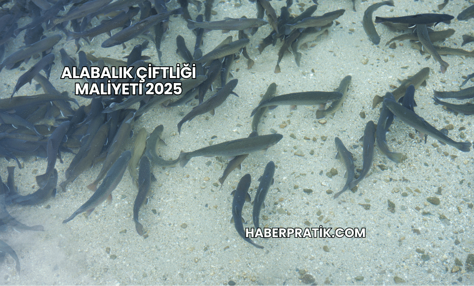 Alabalık Çiftliği Maliyeti 2025