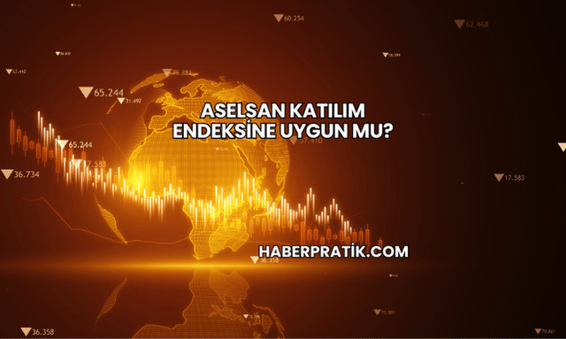 Aselsan Katılım Endeksine Uygun mu?