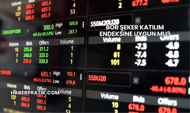 Bor Şeker Katılım Endeksine Uygun mu?