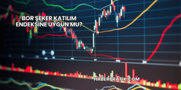 Bor Şeker Katılım Endeksine Uygun mu?