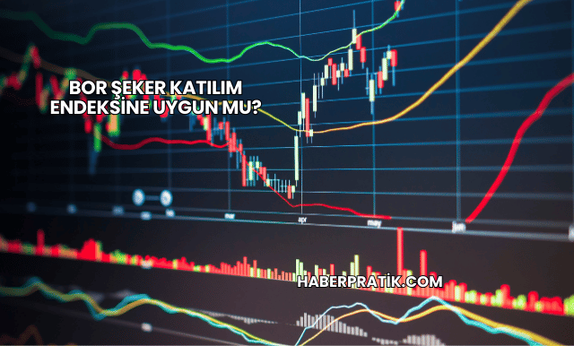 Bor Şeker Katılım Endeksine Uygun mu?