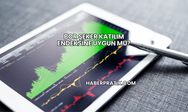 Bor Şeker Katılım Endeksine Uygun mu?