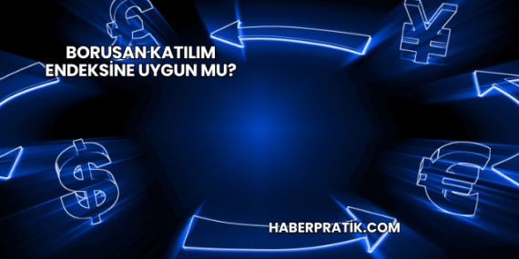 Borusan Katılım Endeksine Uygun mu?