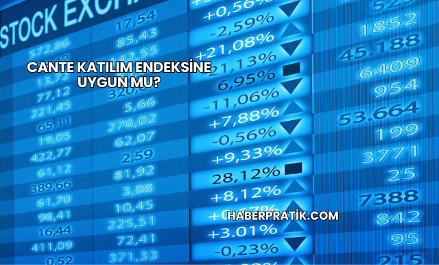CANTE Katılım Endeksine Uygun mu?