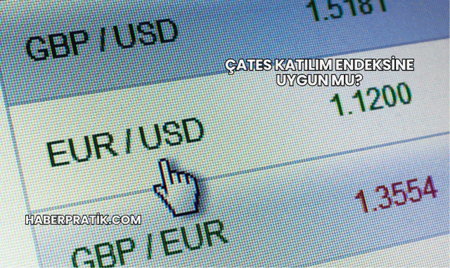 ÇATES Katılım Endeksine Uygun mu?