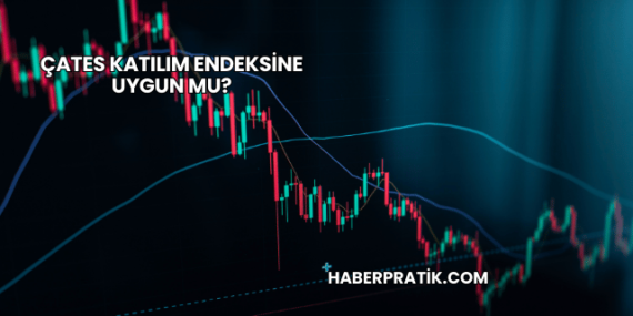 ÇATES Katılım Endeksine Uygun mu?