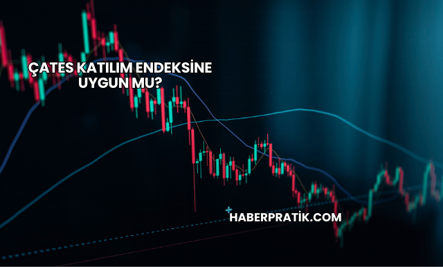 ÇATES Katılım Endeksine Uygun mu?