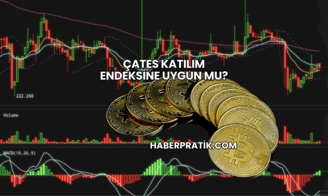 ÇATES Katılım Endeksine Uygun mu?
