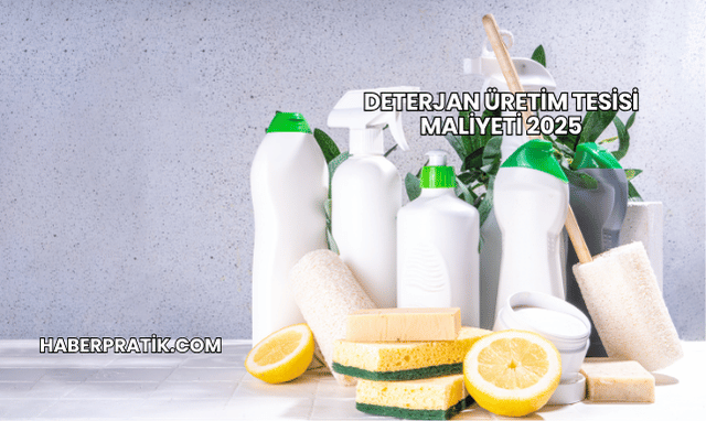 Deterjan Üretim Tesisi Maliyeti 2025