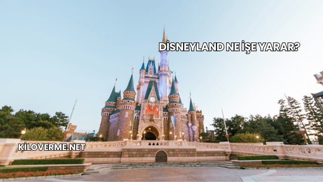Disneyland Ne İşe Yarar?