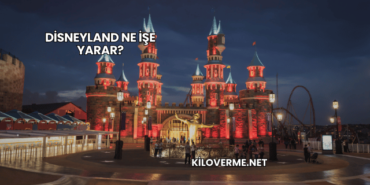 Disneyland Ne İşe Yarar?