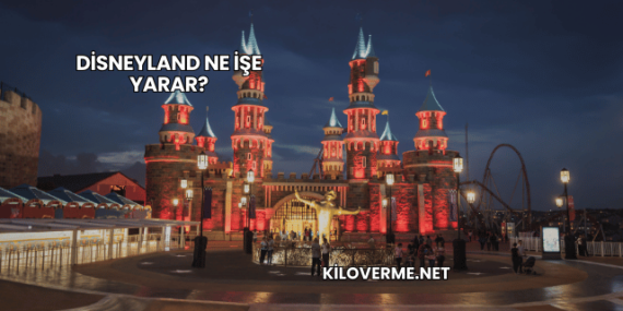 Disneyland Ne İşe Yarar?