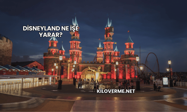 Disneyland Ne İşe Yarar?