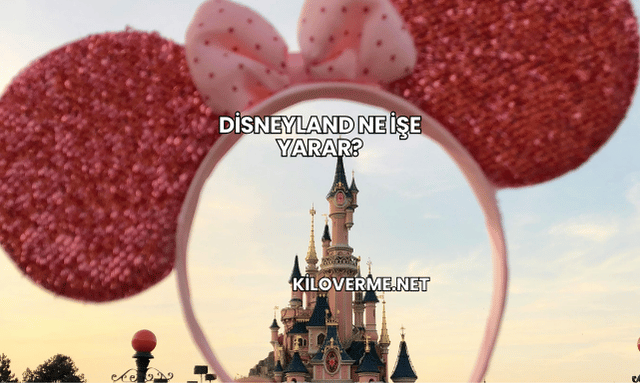 Disneyland Ne İşe Yarar?