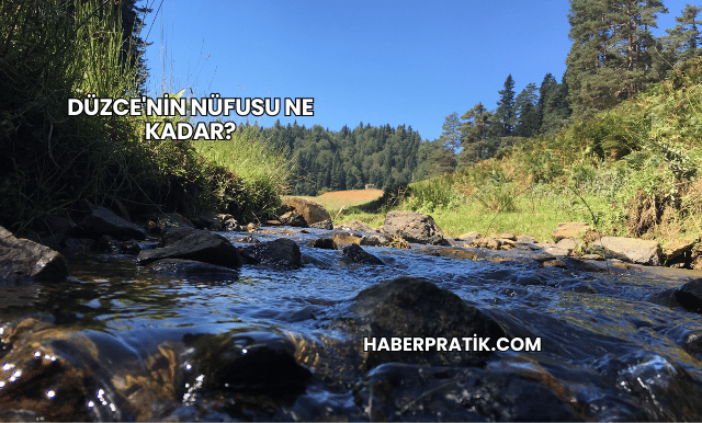 Düzce'nin Nüfusu Ne Kadar?