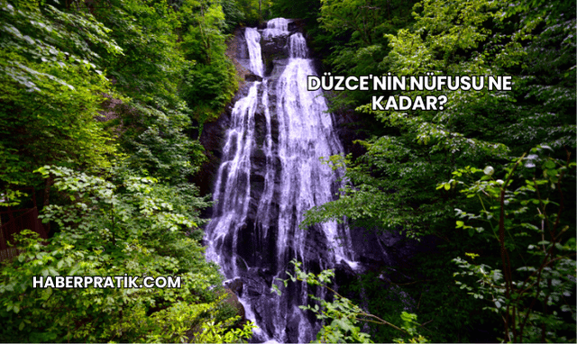 Düzce'nin Nüfusu Ne Kadar?