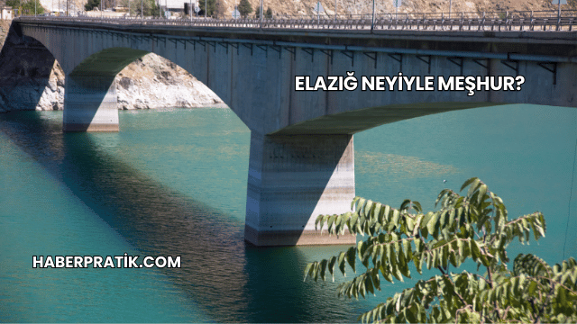 Elazığ Neyiyle Meşhur?