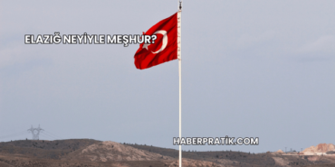Elazığ Neyiyle Meşhur?