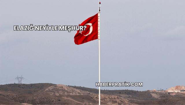 Elazığ Neyiyle Meşhur?