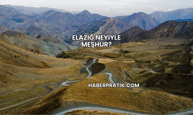 Elazığ Neyiyle Meşhur?