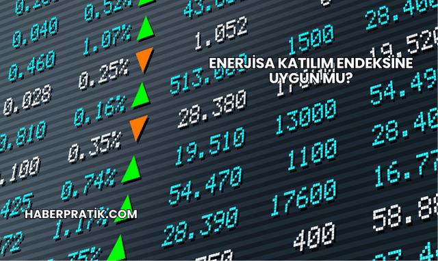 Enerjisa Katılım Endeksine Uygun mu?