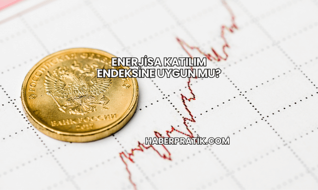 Enerjisa Katılım Endeksine Uygun mu?