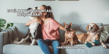 Evcil Hayvan Sigortası Ne İşe Yarar?