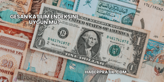 GESAN Katılım Endeksine Uygun mu?