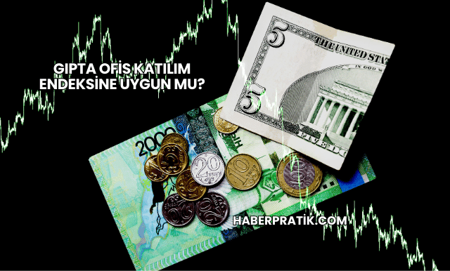 Gıpta Ofis Katılım Endeksine Uygun mu?