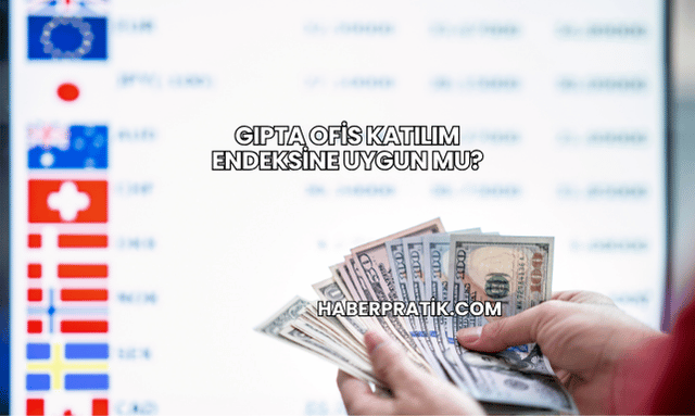 Gıpta Ofis Katılım Endeksine Uygun mu?