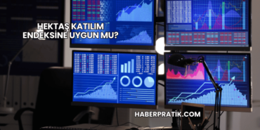 Hektaş Katılım Endeksine Uygun mu (2)