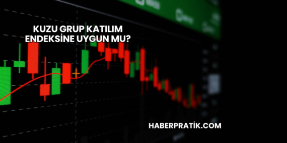 Kuzu Grup Katılım Endeksine Uygun mu?