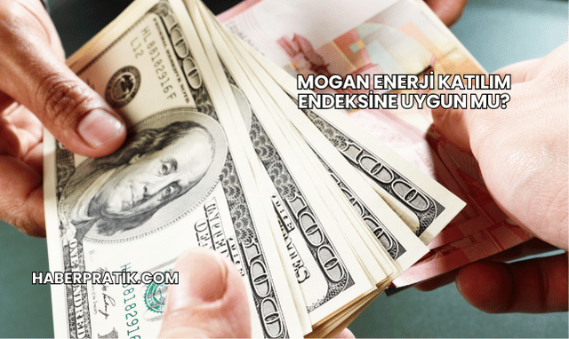 Mogan Enerji Katılım Endeksine Uygun mu?