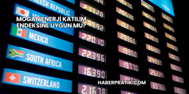 Mogan Enerji Katılım Endeksine Uygun mu?