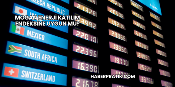 Mogan Enerji Katılım Endeksine Uygun mu?