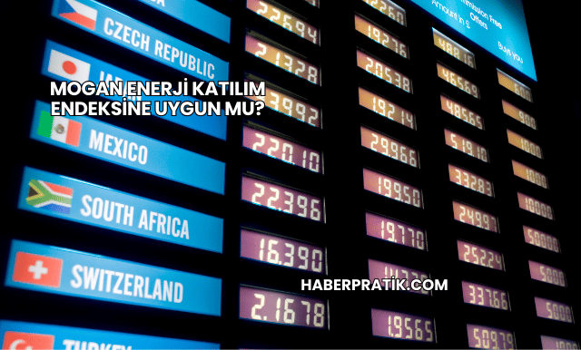 Mogan Enerji Katılım Endeksine Uygun mu?