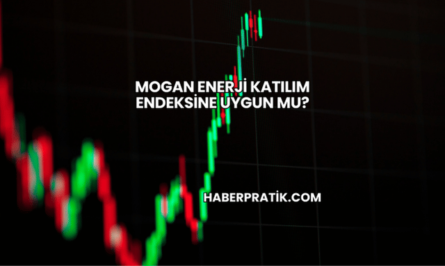 Mogan Enerji Katılım Endeksine Uygun mu?