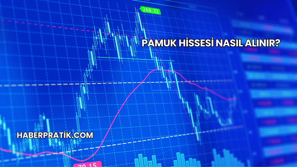 Pamuk Hissesi Nasıl Alınır?