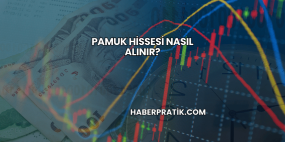 Pamuk Hissesi Nasıl Alınır?