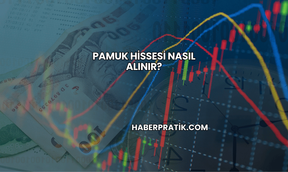 Pamuk Hissesi Nasıl Alınır?