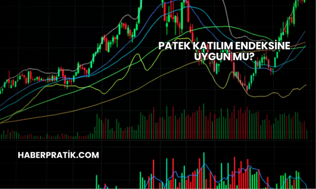 Patek Katılım Endeksine Uygun mu?