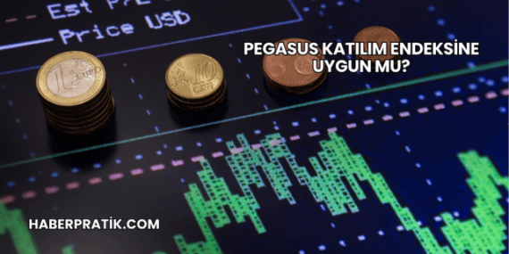 Pegasus Katılım Endeksine Uygun mu?
