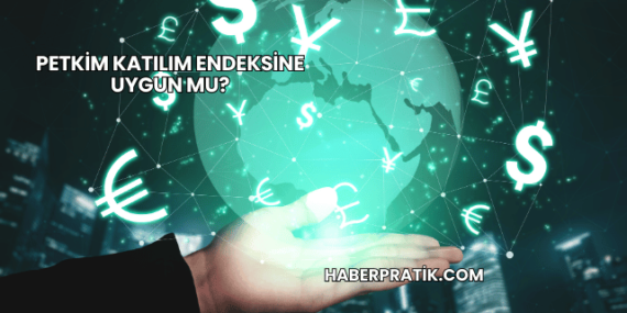 Petkim Katılım Endeksine Uygun mu?